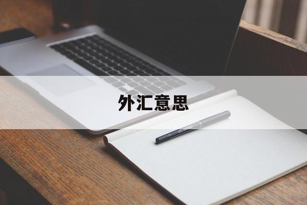 外汇意思(外汇意思是什么)