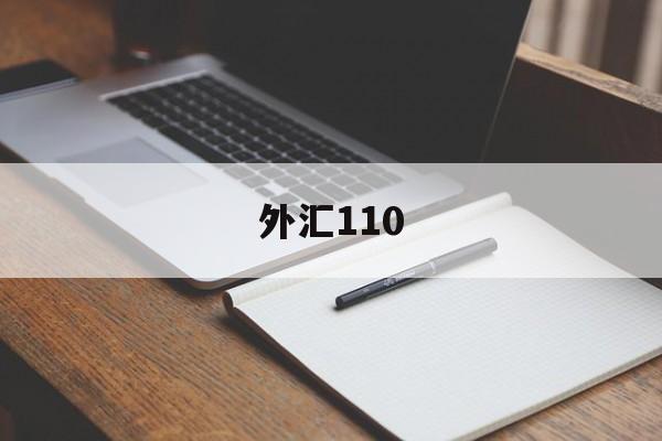 外汇110(外汇110最新版下载)