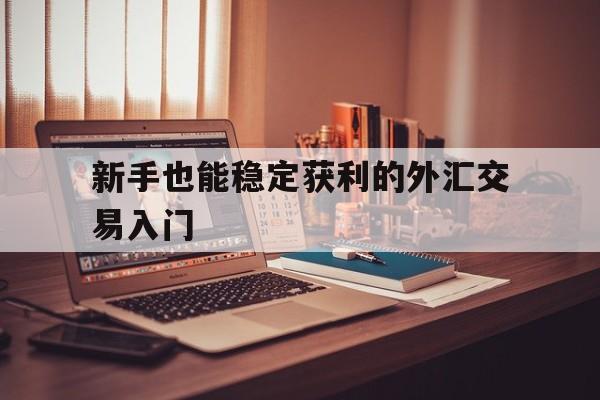 新手也能稳定获利的外汇交易入门(外汇交易实战快速入门)